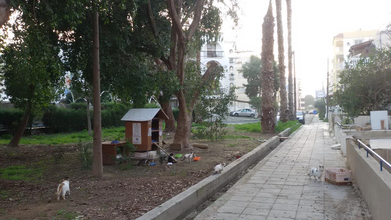 Lca2 Flat For You Apartment ลาร์นาคา ภายนอก รูปภาพ